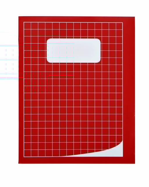 Schrift Qbasic 210x165mm ruit 10mm 80blz 70gr assorti afbeelding