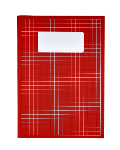 Schrift Qbasic A4 ruit 10mm 80blz assorti afbeelding