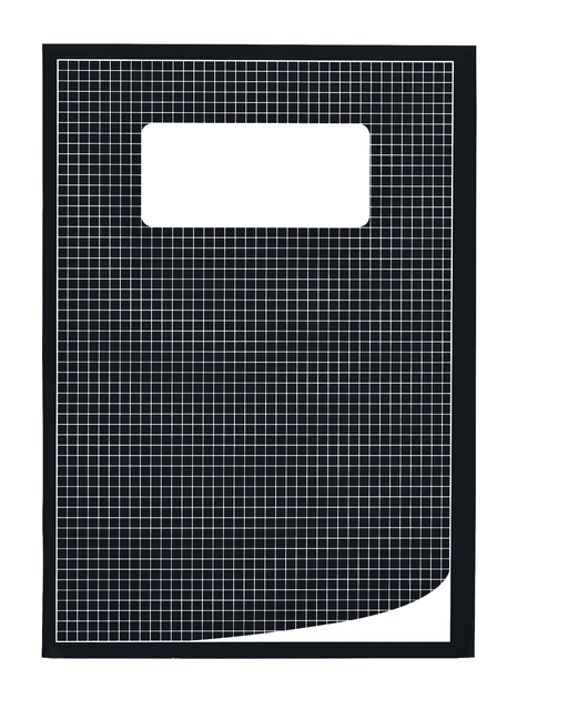 Schrift Qbasic A4 ruit 5mm 80blz 70gr assorti afbeelding