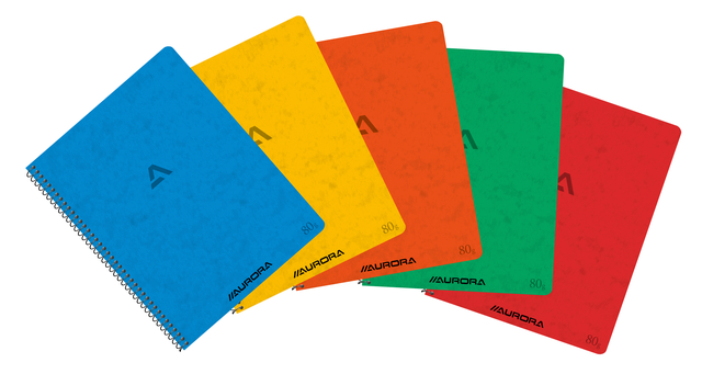 Schrift Aurora 210x165mm ruit 5x5mm 120 pagina&apos;s 80gr assorti afbeelding