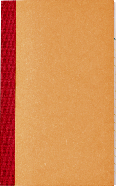 Kasboek 135x83mm 72blz 1 kolom oranje afbeelding