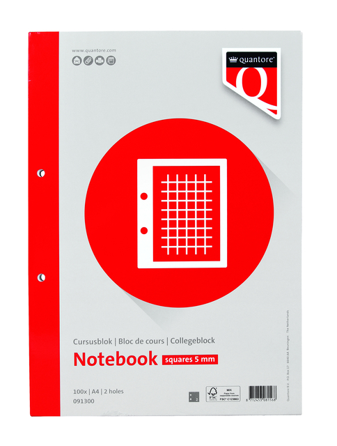 Cursusblok Quantore A4 ruit 5mm 100vel 80gram met kantlijn+ afbeelding