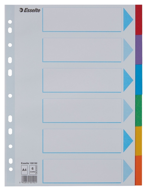 Tabbladen Esselte Standaard A4 6-delig karton 11-rings met voorblad assorti afbeelding