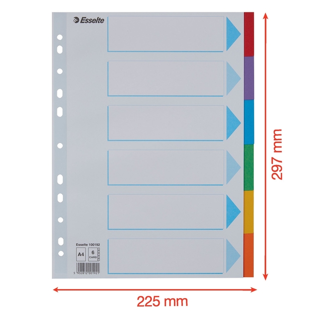 Tabbladen Esselte Standaard A4 6-delig karton 11-rings met voorblad assorti — Foto 2 van 2