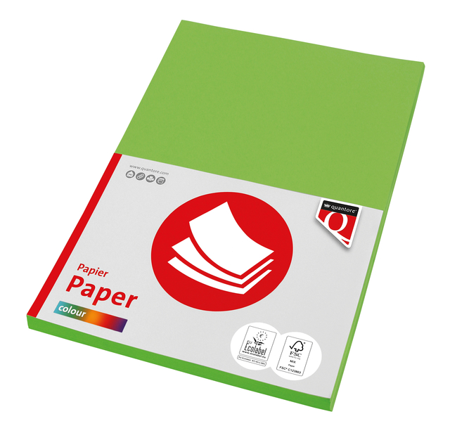 Kopieerpapier Quantore Colour A4 80gr helgroen 100 vel afbeelding