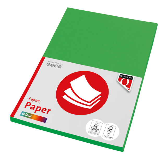 Kopieerpapier Quantore Colour A4 160gr grasgroen 50 vel afbeelding