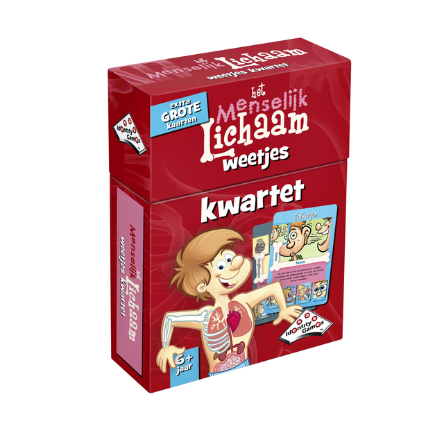 Kwartet menselijk lichaam weetjes afbeelding