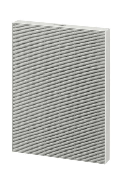 Filter True Hepa voor Aeramax DX55 afbeelding