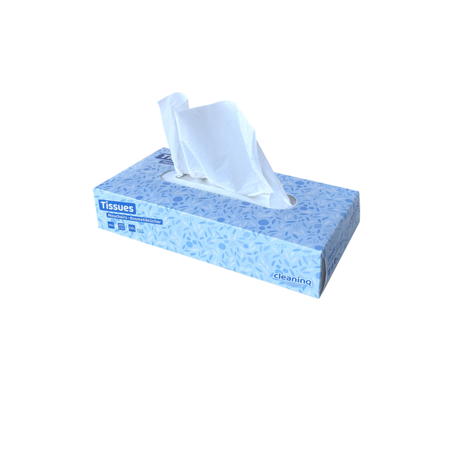 Facial tissues Cleaninq 2-laags 100stuks afbeelding