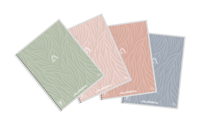 Schrift Aurora A5 lijn 120 pagina&apos;s 80gr assorti afbeelding