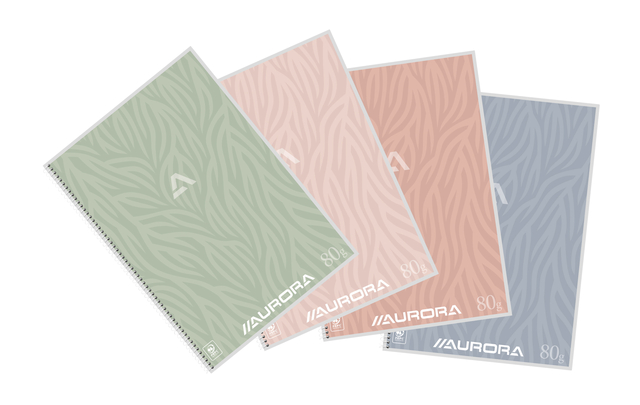Schrift Aurora A4 lijn 120 pagina&apos;s 80gr assorti afbeelding
