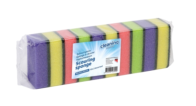 Schuurspons Cleaninq assorti 10 stuks afbeelding
