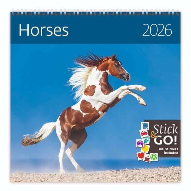 Kalender 2026 Helma 365 30x30cm paarden afbeelding