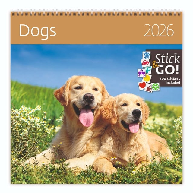 Kalender 2026 Helma 365 30x30cm honden afbeelding