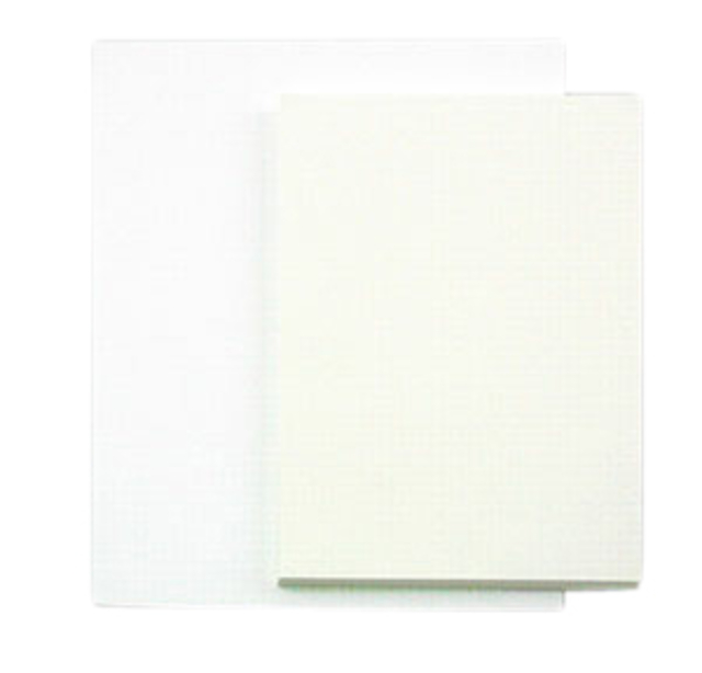 Tekenpapier Papyrus 65x100cm 160gr 125 vel afbeelding