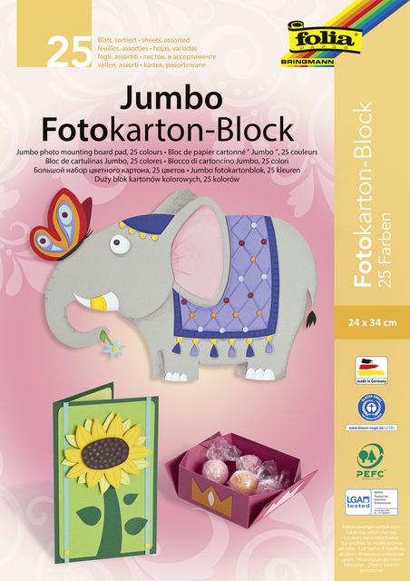 Fotokartonblok Folia 300gr 24x34cm 25vel jumbo assorti afbeelding