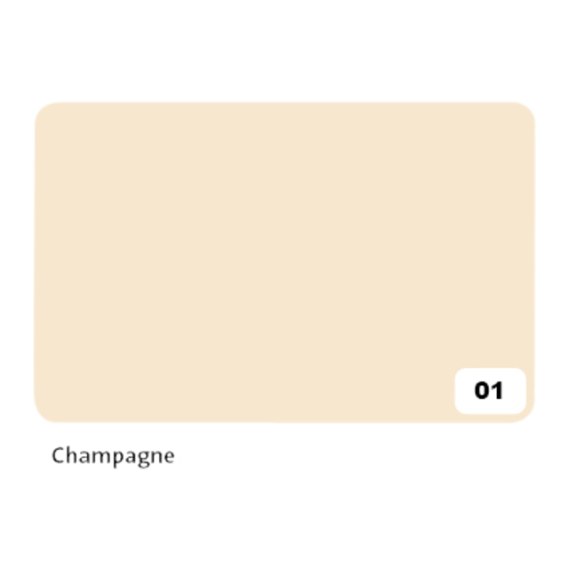 Fotokarton Folia 2-zijdig 50x70cm 300gr nr01 champagne afbeelding