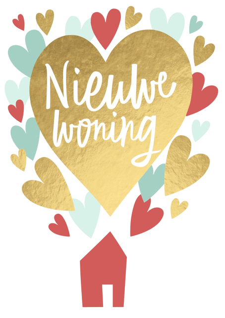 Hallmark Kaarten adreswijziging nieuwe woning set Ã  5 kaarten