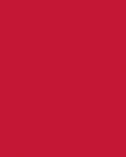 Etalagekarton Folia 1-zijdig 48x68cm 380gr nr211 rood