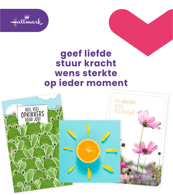Wenskaart Hallmark navulset beterschap/sterkte 12 kaarten afbeelding