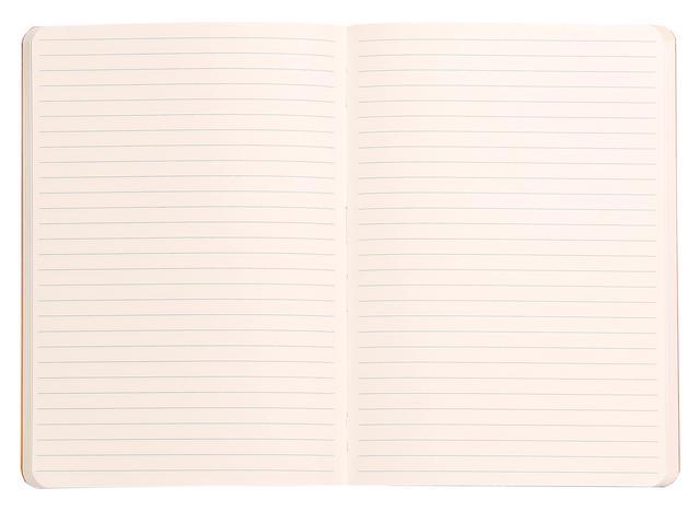 Notitieboek Rhodia A5 lijn 80 vel 90gr saliegroen — Foto 2 van 2
