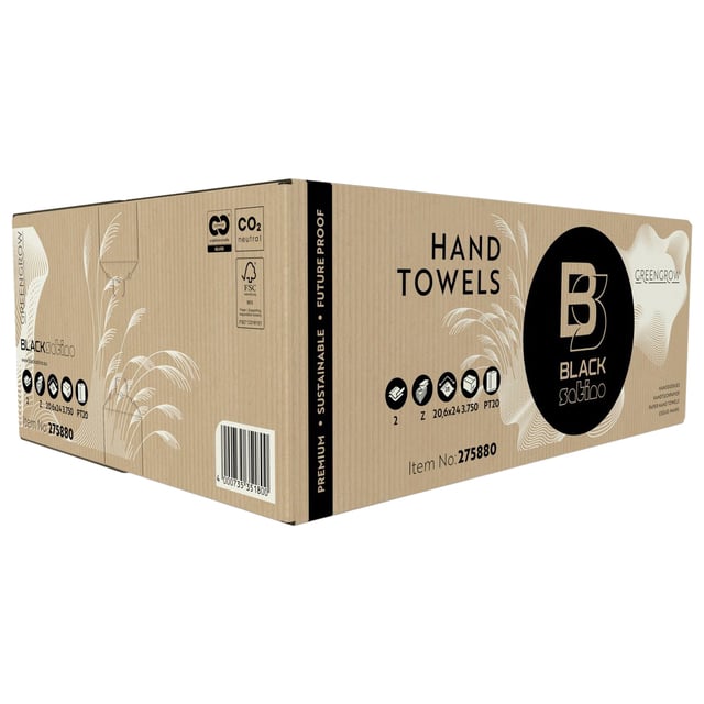 Handdoek BlackSatino GreenGrow PT20 Z-vouw 2-laags 206x240mm 25x150vel naturel 275880 afbeelding