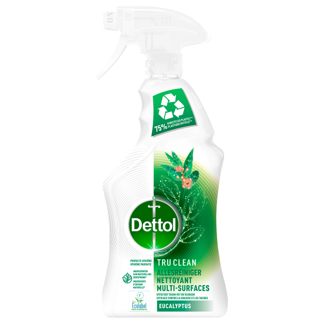 Allesreiniger Dettol TC Eucalyptus spray 500ml afbeelding