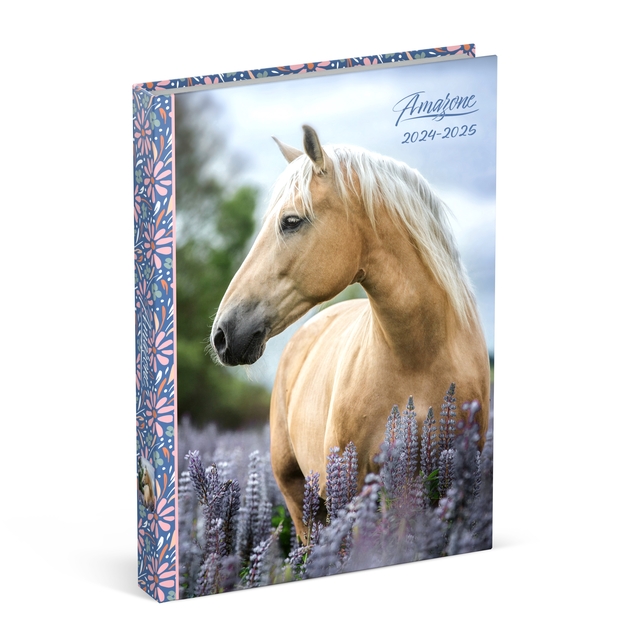 Lannoo Schoolagenda 2024-2025 Amazone 1dag 1pagina blauw