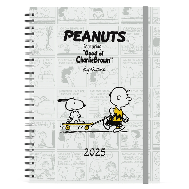 Lannoo Agenda 2025 bureau Peanuts 7dagen 2pagina's