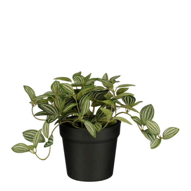 Kunstplant Mica Tradescantia in pot 16x16cm afbeelding