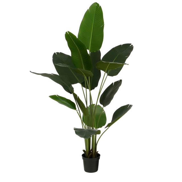 Kunstplant Mica Bananen boom in plastic pot 180x30cm afbeelding