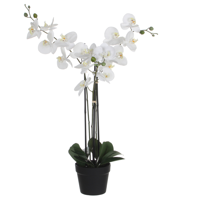 Kunstplant Mica Phalaenopsis orchideeën wit in plastic pot 79x51cm afbeelding