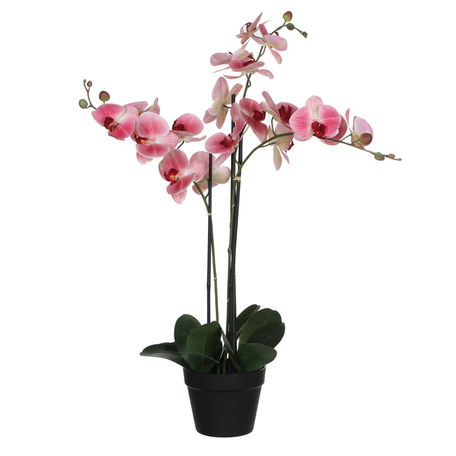 Kunstplant Mica Phalaenopsis orchideeën roze in plastic pot 79x51cm afbeelding
