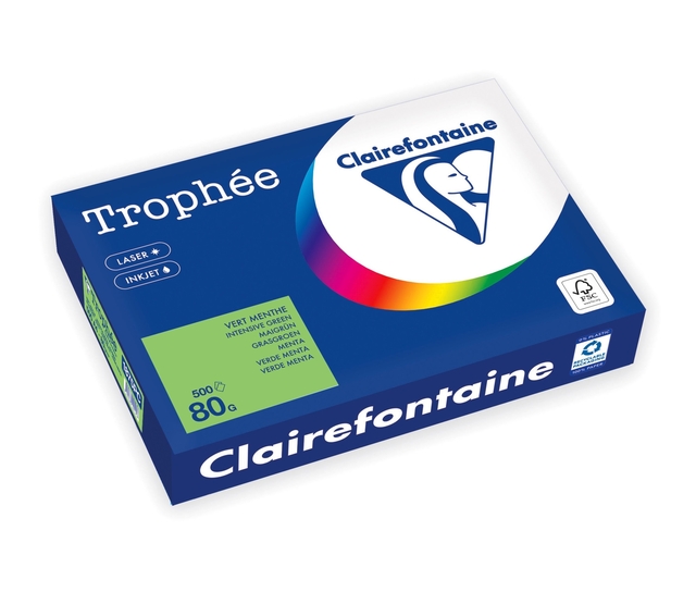 Kopieerpapier Trophée A4 80gr grasgroen 500 vel afbeelding
