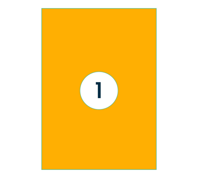 Etiket Rillprint 210x297mm fluor oranje 100 stuks afbeelding