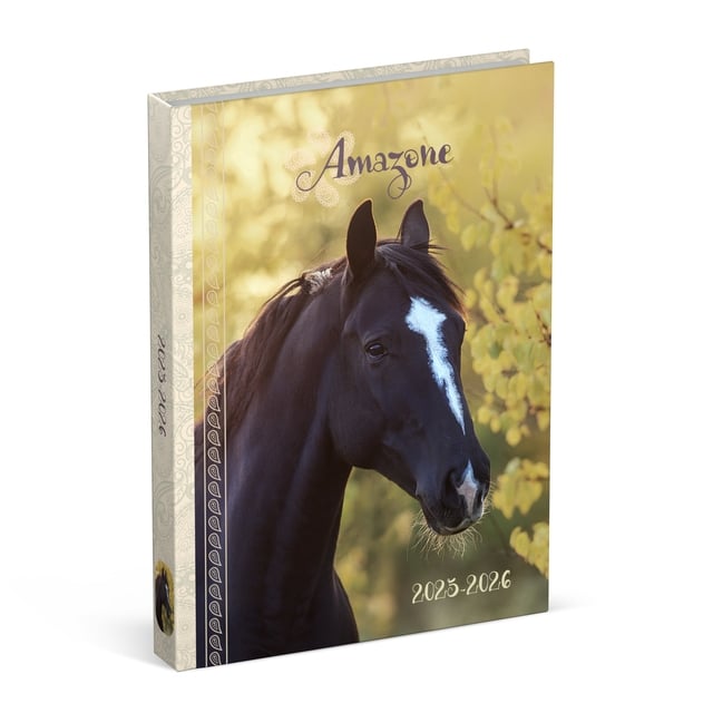 Schoolagenda 25-26 Lannoo Horses 1dag/1pagina geel afbeelding