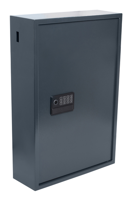 Sleutelkast Pavo High security Advanced 300 haken 650x410x250mm — Foto 2 van 2