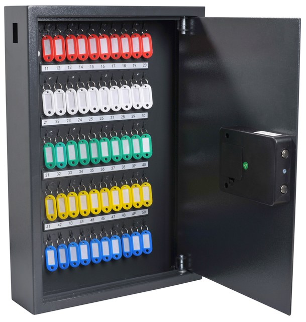Sleutelkast Pavo High security advanced 50 haken 550x380x100mm afbeelding