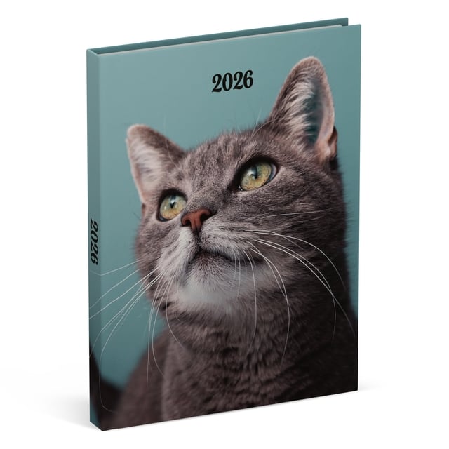 Agenda 2026 Lannoo 110x150 My favourite friends 7dagen/2pagina&apos;s cats afbeelding