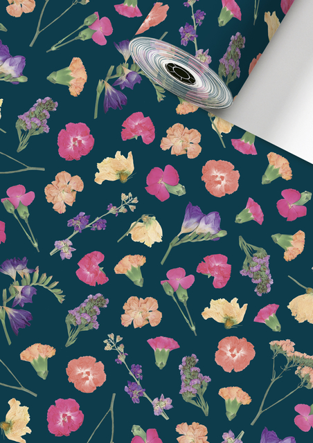 Apparaatrol Stewo Maila 150mx50cm