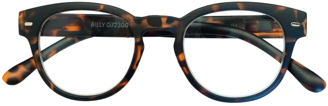 Leesbril I Need You +3.00dpt Billy tortoise