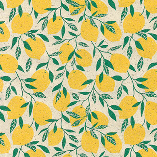 Apparaatrol Little Lemon 50cmx200m