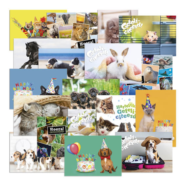 Beloningsposter-kaart De Stulp thema dieren A4 assorti