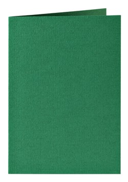 Correspondentiekaart Papicolor dubbel 105x148mm dennengroen pak à 6 stuks