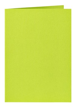 Correspondentiekaart Papicolor dubbel 105x148mm appelgroen pak à 6 stuks