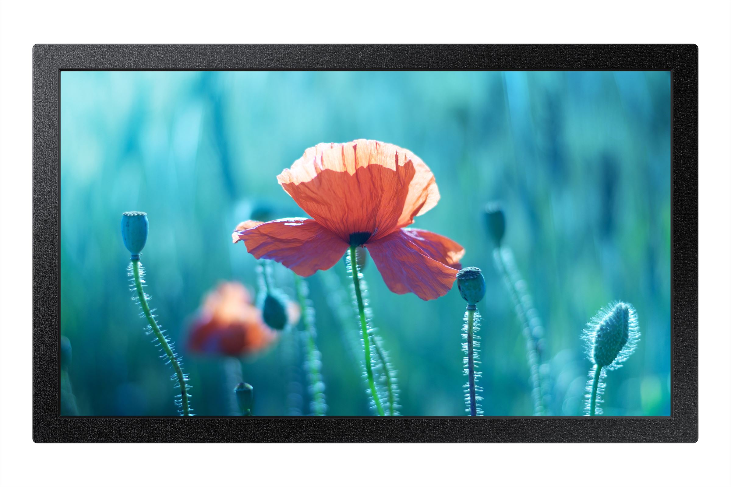 Samsung 13"Small Signage QBR-M