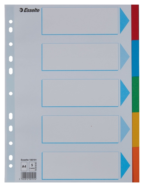 Tabbladen Esselte Standaard A4 5-delig karton 11-rings met voorblad assorti afbeelding