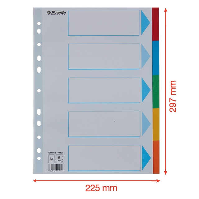 Tabbladen Esselte Standaard A4 5-delig karton 11-rings met voorblad assorti — Foto 2 van 2