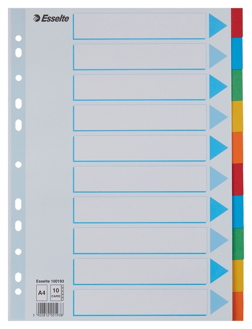 Tabbladen Esselte Standaard A4 10-delig karton 11-rings met voorblad assorti afbeelding