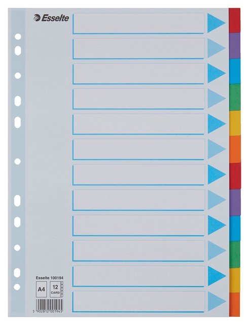Tabbladen Esselte Standaard A4 12-delig karton 11-rings met voorblad assorti afbeelding
